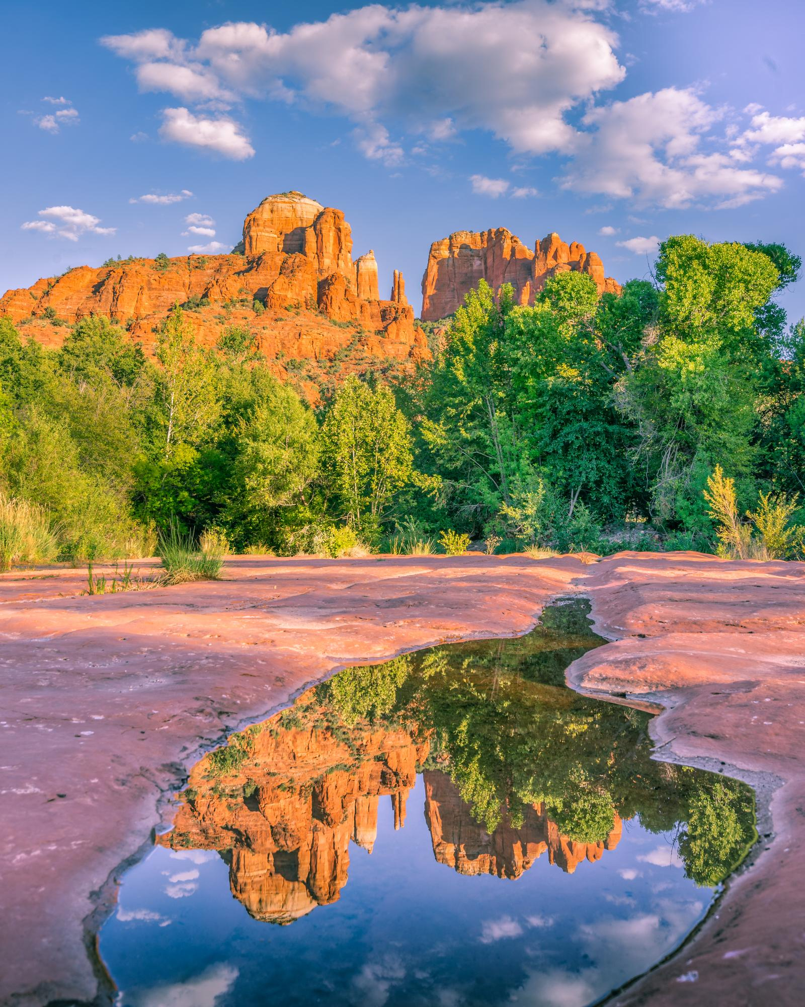Arizona desert landscape